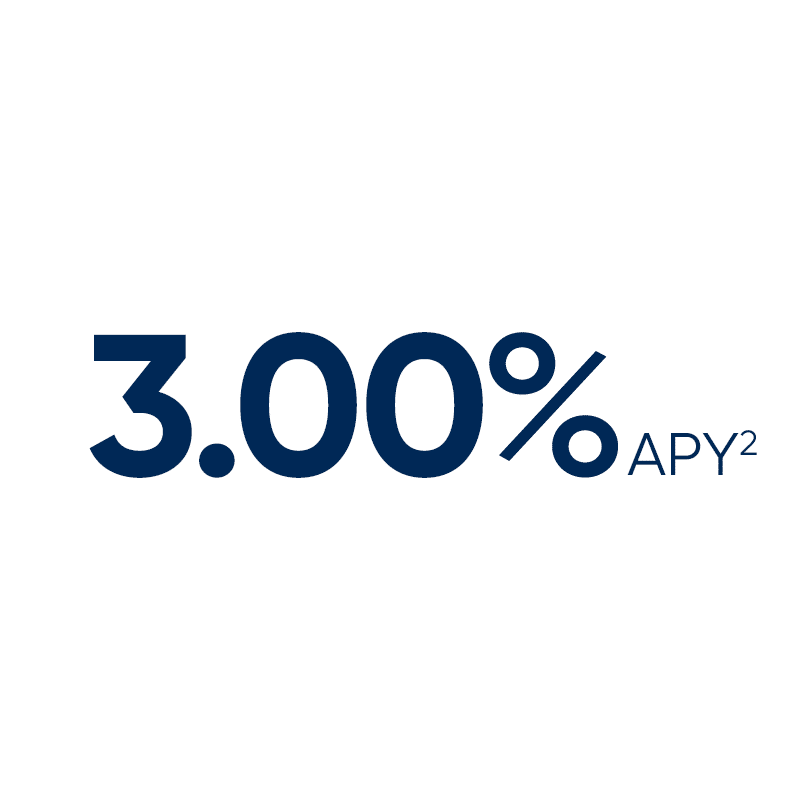 3.00% APY
