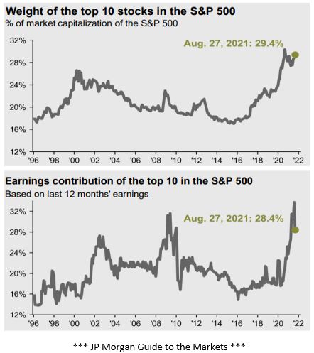 Chart showing weight of the top 10 stocks nd earnings contribution of the top 10 stocks