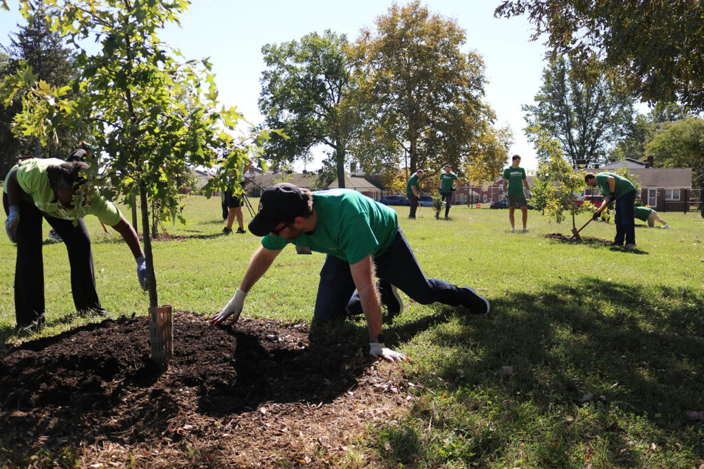 A group of people planting trees.