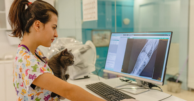 A veterinarian holding a cat and looking at x-rays on a computer.