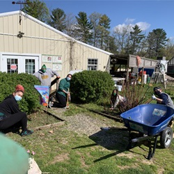 WSFS Associates planting flowers