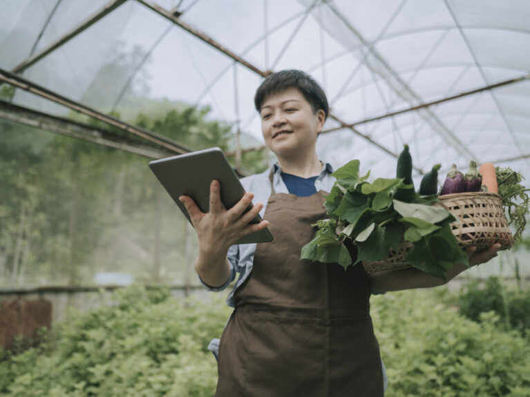 Woman using tablet and holding basket of vegetables in greenhouse.
