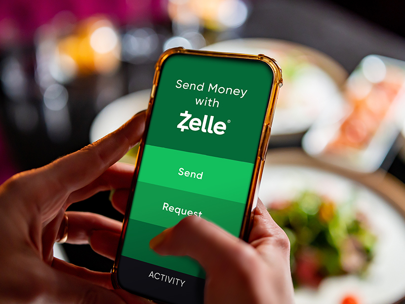 The Zelle app home screen, showing options to send and receive money.